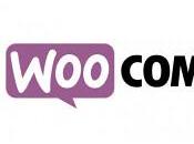 Benefits Using WooCommerce Building Online Stores