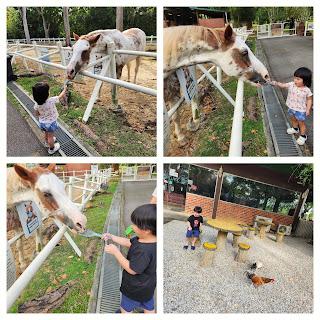 Gallop Stable - Pasir Ris Park