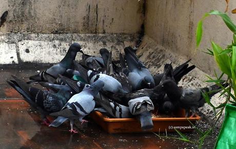 Heavy rains predicted !  ~    Chennai residents' panic reaction