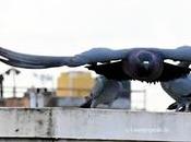 Rained Chennai 'வான் சிறப்பு' தடிந்தெழிலி