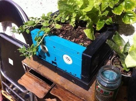 VHS tape used as Planter