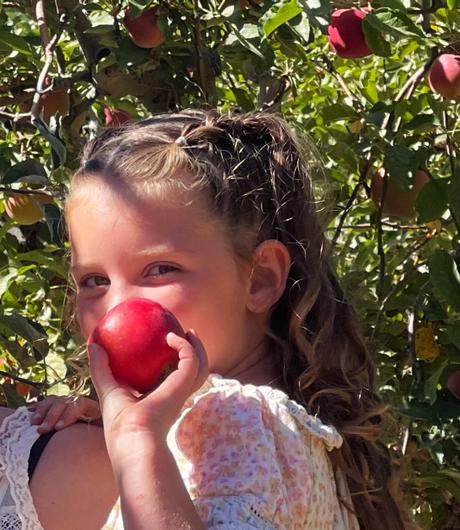 Apple Picking  ...   A Family Tradition