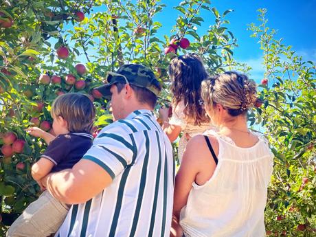 Apple Picking  ...   A Family Tradition