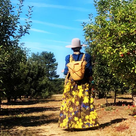 Apple Picking  ...   A Family Tradition