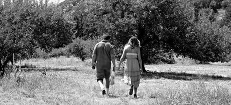 Apple Picking  ...   A Family Tradition