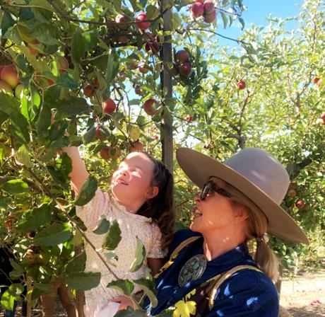 Apple Picking  ...   A Family Tradition