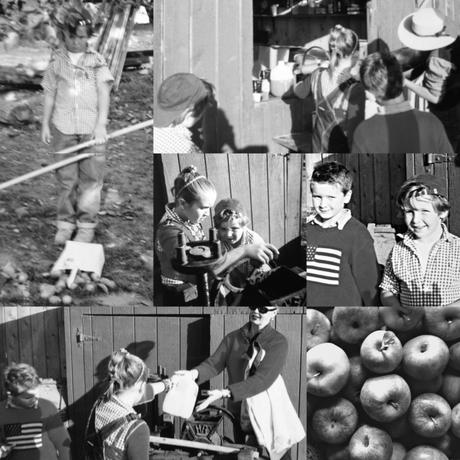 Apple Picking  ...   A Family Tradition