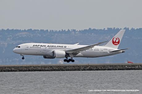 Boeing 787-8 Dreamliner, Japan Airlines