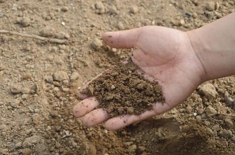 Soil Classification Saves Lives