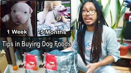 Orijen dog food review, Orijen dog food unboxing, Best dog food for American Bully, Orijen vs other dog food brands, Orijen pet food review, Why Orijen dog food is expensive, Benefits of Orijen dog food, High-protein dog food, Orijen ingredients analysis, Grain-free dog food, Orijen dog food for large breeds, Orijen vs Acana, American Bully nutrition, Healthy dog food for big dogs, Premium dog food brands, Orijen dog food price comparison, Is Orijen dog food worth it?, Dog food for muscle building, Best food for muscular dogs, Orijen dog food online shopping, Ethical dog food brands, Orijen food benefits for dogs, Best pet food for muscle growth, Orijen biologically appropriate dog food, Dog food with regional ingredients, Dog food with free-range chicken, Orijen wild-caught fish formula, Grain-free vs grain dog food, Best high-protein dog food brand, Orijen low-carb dog food, Orijen for active dogs, Best large breed dog food, American Bully diet plan, Best dog food for strong dogs, Orijen for high-energy dogs, Dog food with fresh ingredients, Orijen natural dog food, Best premium dog food, Orijen pet food company, Best dog food for coat health, Orijen pet food pros and cons, Orijen healthy dog food, Orijen dog food bag sizes, Dog food for weight management, Orijen grain-free dry dog food, Dog food made with real meat, Orijen’s best ingredients, Orijen price per bag, Best high-quality dog food, Orijen dog food price, Dog food with real chicken, Protein-rich dog food for American Bully, Orijen for Bully breeds, Best food for shiny dog coat, Dog food for dogs with allergies, All-natural dog food brands, Orijen for muscle support, Orijen protein content, Orijen dog food nutritional value, Best pet food for active dogs, Dog food without fillers, Orijen price breakdown, Orijen dry dog food review, Orijen vs raw dog food, Orijen for healthy skin and coat, Orijen dog food for energy, Best pet food for large dogs, Orijen for strong bones, Orijen for sensitive stomachs, Healthy kibble for large dogs, Orijen vs Blue Buffalo, Best Orijen flavor, Dog food for large breed puppies, Orijen for older dogs, Dog food for working dogs, Why Orijen costs more, Is Orijen safe for dogs?, Orijen sustainable ingredients, Best dog food for coat health, Orijen long-term benefits, Orijen pet food recalls, Orijen for weight control, Dog food for active breeds, Orijen for puppies, Fresh meat dog food, Orijen dog food bulk buying, Where to buy Orijen dog food, Orijen raw-infused kibble, Orijen adult dog food, Orijen six fish dog food, Orijen tundra dog food, Best dog food for Bully dogs, Orijen grain-free pet food, Orijen for American Bully, Best protein for dogs, Dog food with whole prey ingredients, Orijen large breed formula, Dog food for active lifestyles, Orijen small breed dog food, Dog food with fresh fish, Orijen meat content, Best dog food for weight gain, Pet food that’s ethically sourced, Orijen’s biologically appropriate formula, Orijen for pet owners, Orijen pet nutrition, Best dog food with no fillers, Orijen six fish review, Best dog food for digestion, Orijen for healthy digestion, Dog food with cage-free eggs, Orijen food for puppies, Why is Orijen expensive?, Orijen for dog health, Best dog food for energy, Best food for American Bully, Orijen freeze-dried dog food, Orijen kibble size, Best dog food with real meat, Orijen for senior dogs, Orijen fresh dog food, Orijen weight management formula, High-quality kibble, Best dog food with fresh ingredients, Orijen ingredients quality, Orijen vs raw feeding, Healthy dog food brands, Orijen sustainable dog food, Best natural dog food, Orijen for sensitive digestion, Fresh food for dogs, High-protein kibble, Orijen vs other brands, Dog food with no additives, Dog food for health-conscious pet owners, Orijen high-protein formula, Orijen dry dog food bags, Dog food for large dogs, Orijen dog food health benefits, Orijen six fish ingredients, Orijen high meat content, Orijen dry food for dogs, Orijen dog food for coat health, Dog food with premium ingredients, Orijen food review by pet owners, Orijen six fish for coat health, Dog food for large, active dogs, Orijen dog food product review, Orijen vs other premium brands, Best dog food for American Bully, Dog food for muscle growth, Orijen dog food for strong dogs, Orijen for strong muscles, Dog food with fish ingredients, Orijen weight control formula, Orijen fresh regional ingredients, Best kibble for large breed dogs, Orijen for high-energy pets, Best dog food for a shiny coat, Premium pet food brands, Orijen dry food for Bully breeds, Best food for muscular dogs, Best premium dry dog food, Orijen kibble for large dogs, Orijen healthy digestion formula, Orijen regional red formula, Orijen puppy food review, Orijen vs cheaper dog food, Orijen senior dog food review, Best food for senior dogs, Orijen dog food quality, Dog food with fresh meat, Best dog food for Bully breeds, Orijen freeze-dried formula, Dog food for dogs with allergies, Best premium pet food, Orijen healthy weight formula, Orijen dog food for Bully breeds, Orijen with whole prey ingredients, Orijen low-carb dog food, Orijen raw dog food review, Orijen for all life stages, Fresh meat dog food brands, Orijen premium dry dog food, Best dog food for active breeds, Orijen freeze-dried raw dog food, Orijen for muscle building, Best dog food for Bully dogs, Best healthy dog food, Orijen six fish kibble review, Best food for strong dogs, Orijen six fish dry dog food, Best dog food with fresh meat, Orijen raw-coated kibble, Best high-protein kibble, Orijen fresh-frozen dog food, Dog food with fresh regional ingredients, Orijen fresh dog food review, Best dog food with fresh fish, Dog food with whole prey ingredients, Orijen raw dog food, Orijen for healthy digestion, Orijen vs Blue Buffalo dog food, Orijen dog food for sensitive stomach, Orijen six fish vs regional red, Orijen biologically appropriate raw food, Best dog food for muscle mass, Orijen food for healthy coat, Orijen six fish formula, Orijen vs Acana dog food, Dog food without grains, Orijen with wild-caught fish, Best grain-free dog food, Orijen vs raw diets, Best high-protein dry dog food, Dog food for health-conscious owners, Orijen dog food for American Bully, Premium dry kibble for dogs, Orijen biologically appropriate kibble, Best dog food for healthy coat, Best food for large dogs, Orijen vs other premium brands, Orijen wild-caught dog food, High-protein pet food brands, Orijen six fish for healthy coat, Best dog food for coat health, Orijen fresh regional ingredients, Orijen six fish dry dog food review, Orijen premium pet food, Orijen’s biologically appropriate dog food.