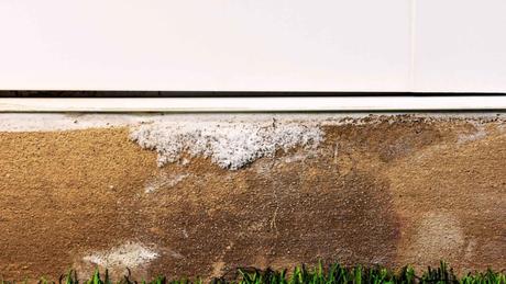 How to Get Rid of Efflorescence on Concrete in 5 Easy Steps