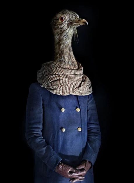 Pheasant Dressed in Latest Fashion