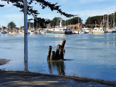 HUMBOLDT COUNTY CHILDREN'S AUTHOR FESTIVAL: Celebrating 50 Years