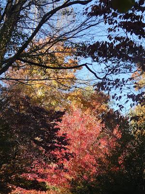 Along the Branch