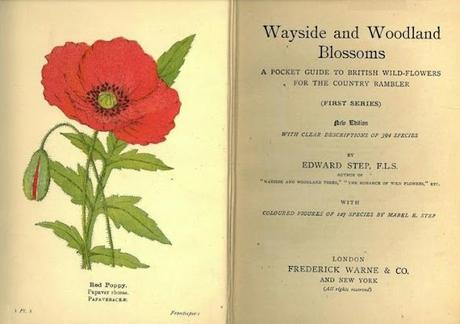 Wayside Blossoms