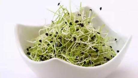 High Nutrition Foods: 10 Foods That Have 10X the Nutrition When Sprouted |