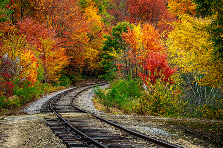 Fall Colors, Dealing with the Blues, Lisa Orchard