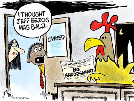 The Chicken That Owns A Newspaper