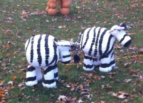 Pumpkin/Jack-o-lantern that looks like Zebras