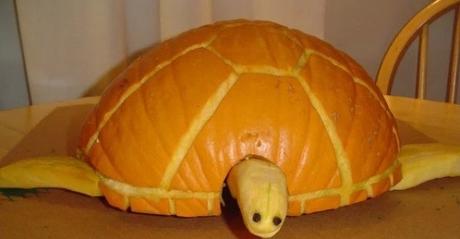 Pumpkin/Jack-o-lantern that looks a Sea Turtle