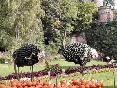 Ostrich Art installation made of pumpkins