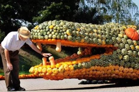 Crocodile art installation made of pumpkins