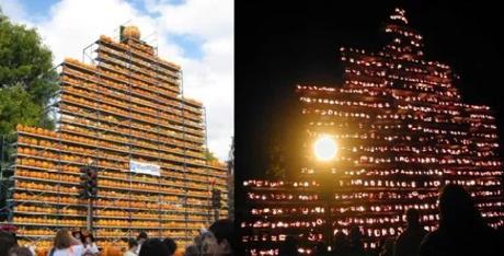 Art installation made of pumpkins