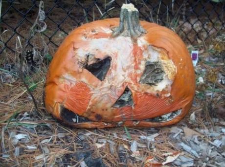 Things to do With Pumpkins After Halloween: Compost