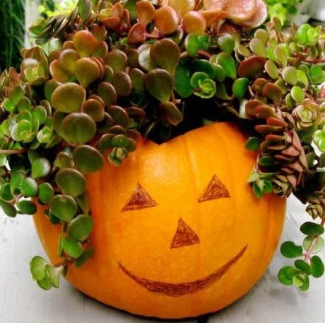 Things to do With Pumpkins After Halloween: Pumpkin Planter