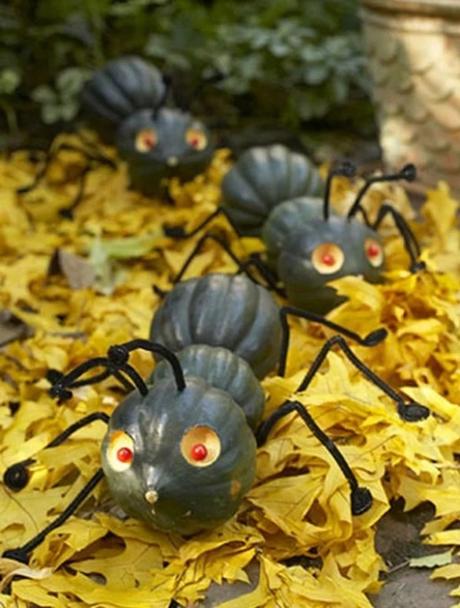 Things to do With Pumpkins After Halloween: Ant House