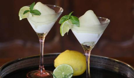 gin and tonic sorbet