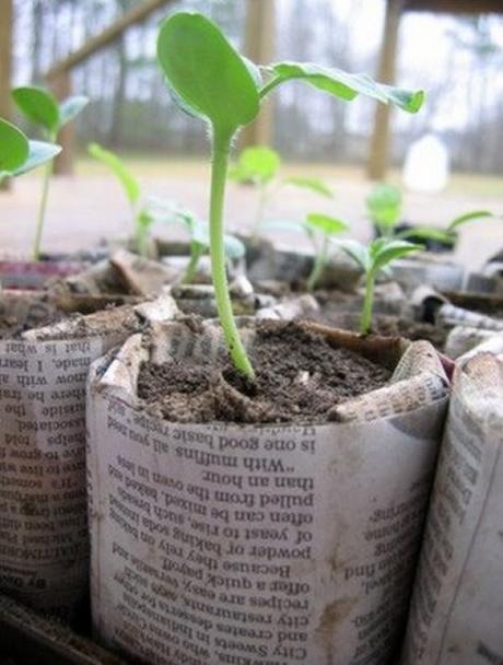 Old Newspapers Turned into Seedling Pots