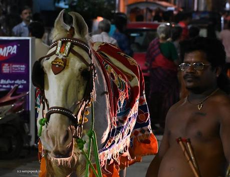 Swami Manavala Mamunigal Uthsavam & the new horse Ranga !!