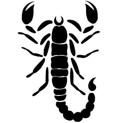 A graphic illustrating the Scorpio zodiac sign - the scorpion
