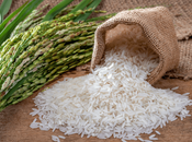 Rice Water Skin: What Buzz About There Real Benefits?