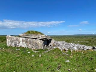 SPRING FLOWERS at THE BURREN, COUNTY CLARE, IRELAND: Guest Post by Marianne Wallace