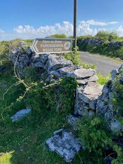 SPRING FLOWERS at THE BURREN, COUNTY CLARE, IRELAND: Guest Post by Marianne Wallace