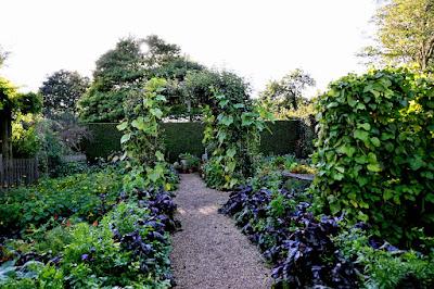 At last! a visit to East Ruston Vicarage Garden