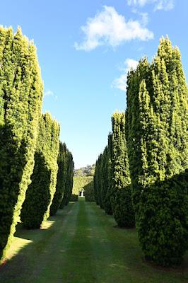 At last! a visit to East Ruston Vicarage Garden