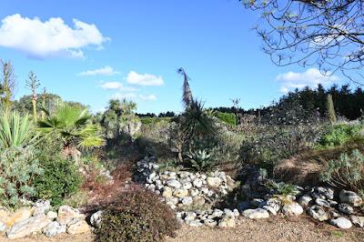 At last! a visit to East Ruston Vicarage Garden