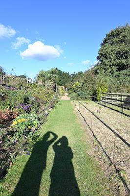 At last! a visit to East Ruston Vicarage Garden