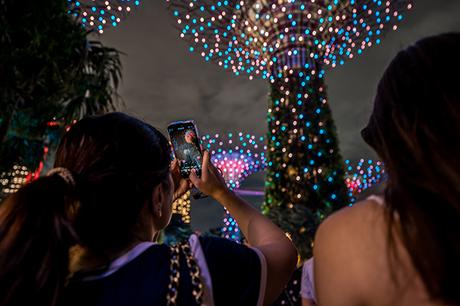 Experience New Holiday Magic: Merry Bears, and Immersive Light Displays at Christmas Wonderland