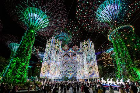 Experience New Holiday Magic: Merry Bears, and Immersive Light Displays at Christmas Wonderland