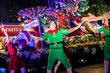 Experience New Holiday Magic: Merry Bears, and Immersive Light Displays at Christmas Wonderland