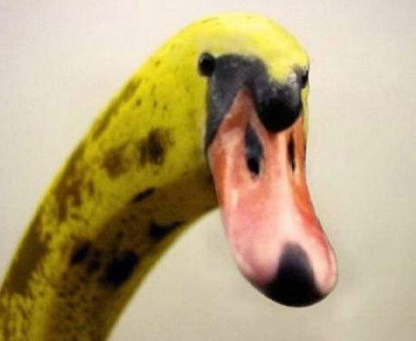 Photoshopped Banana Made to Look Like a Swan