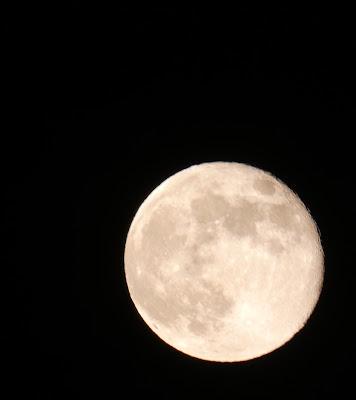 Moon Bathing