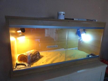 Project Reptile Vivarium