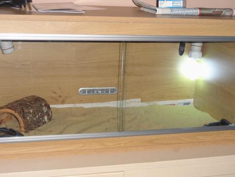 Project Reptile Vivarium