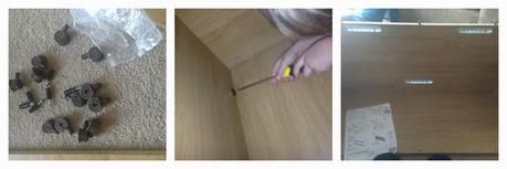 Project Reptile Vivarium Project Reptile Vivarium