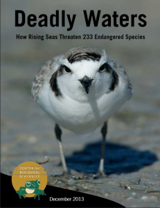 Deadly-Waters-How-Rising-Seas-Threaten-233-Endangered-Species-Sea-Level-Rise-Report-2013-web-pdf 2014-02-07 13-42-53